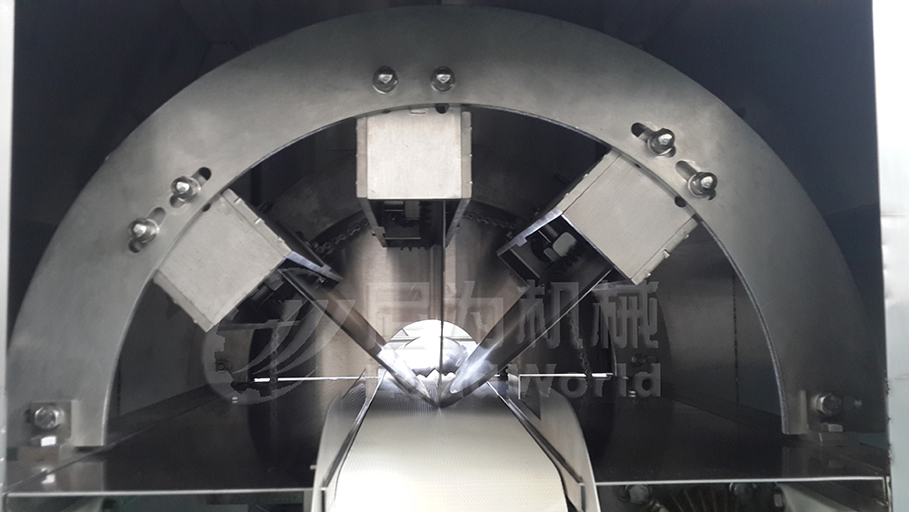 自動(dòng)水果切條機(jī)